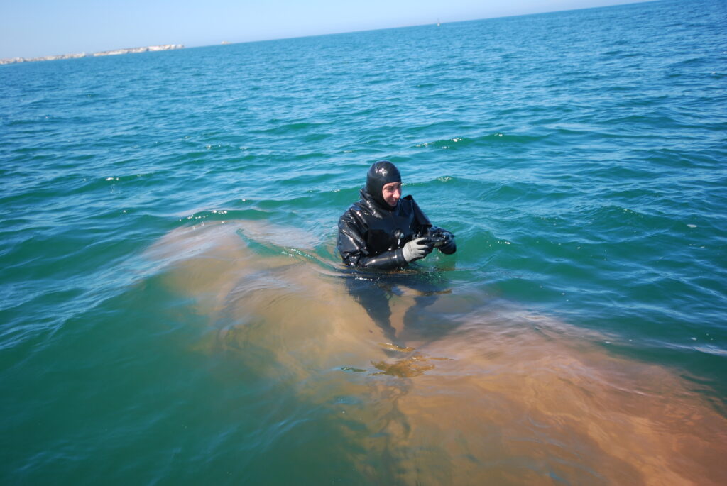 Wave Energy Device Survey and Maintenance (2014) image 3