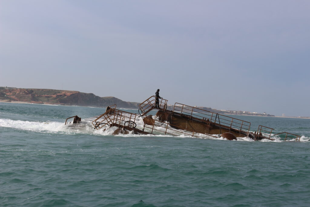 Waveroller FOAK Recovery (2014) image 4