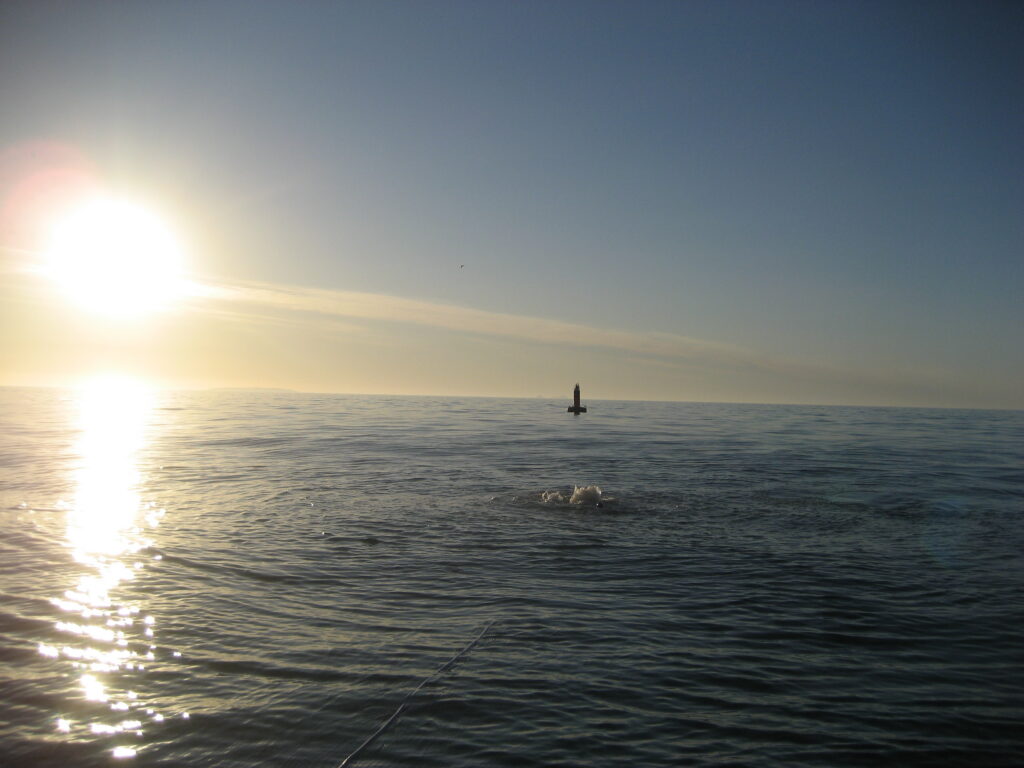 Waveroller Deployment (2008)